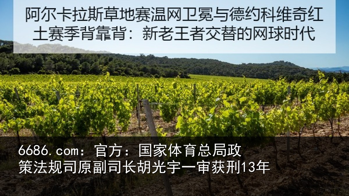 6686.com：官方：国家体育总局政策法规司原副司长胡光宇一审获刑13年