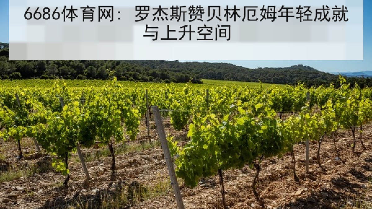 6686体育网: 罗杰斯赞贝林厄姆年轻成就与上升空间（6686.com）