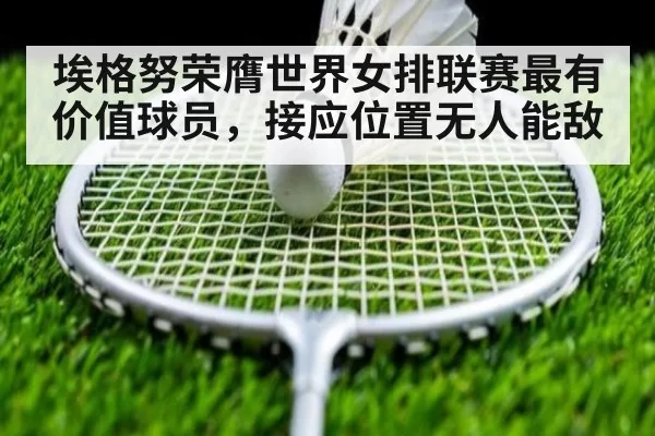 埃格努荣膺世界女排联赛最有价值球员，接应位置无人能敌